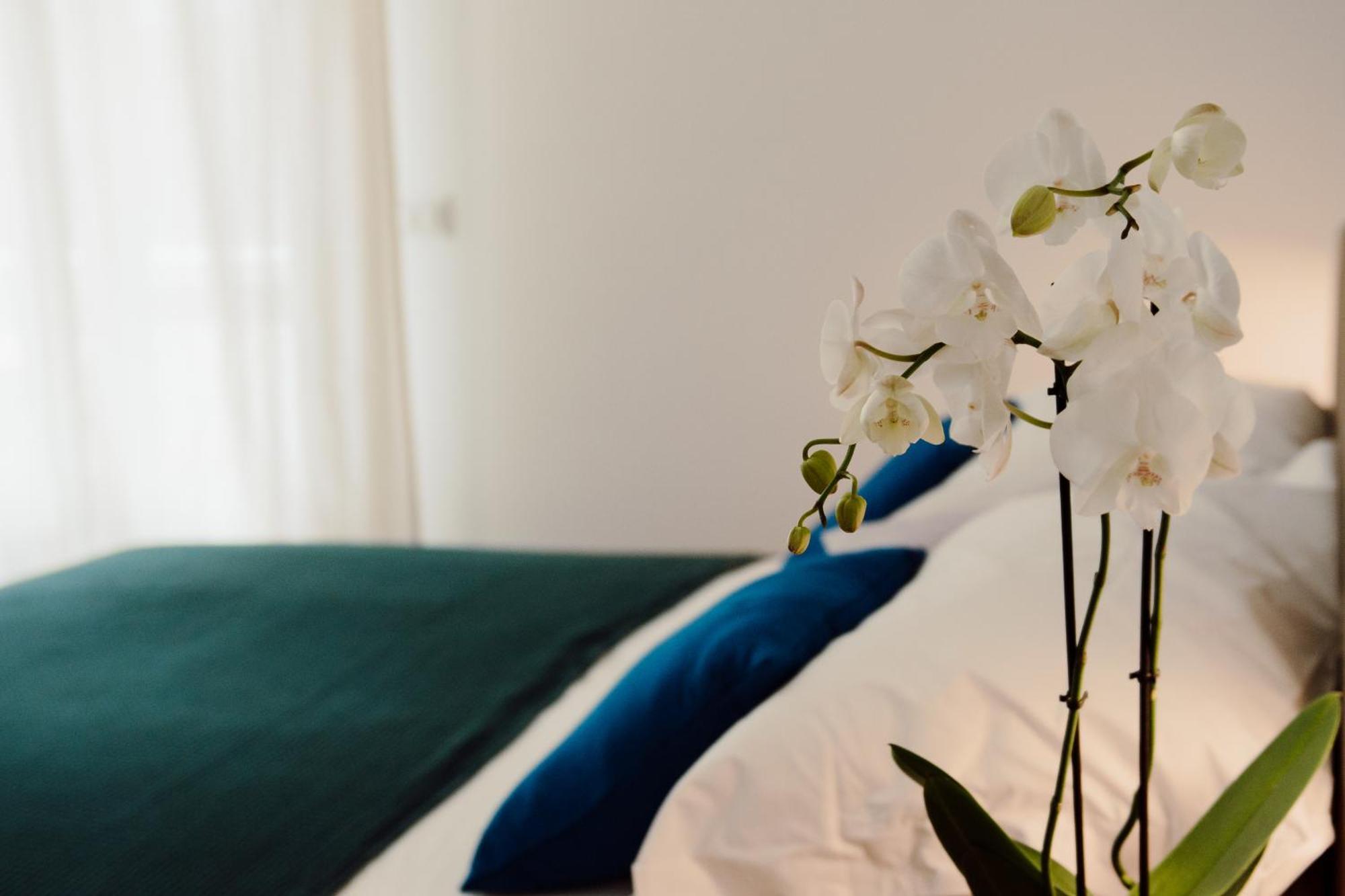 Sweet Dreams Hotel Чивитавекия Екстериор снимка
